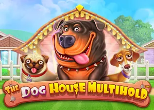 king ทางเข้า The Dog House Multihold ทดลองเล่นฟรี