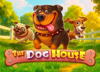 king ทางเข้า The Dog House ทดลองเล่นฟรี
